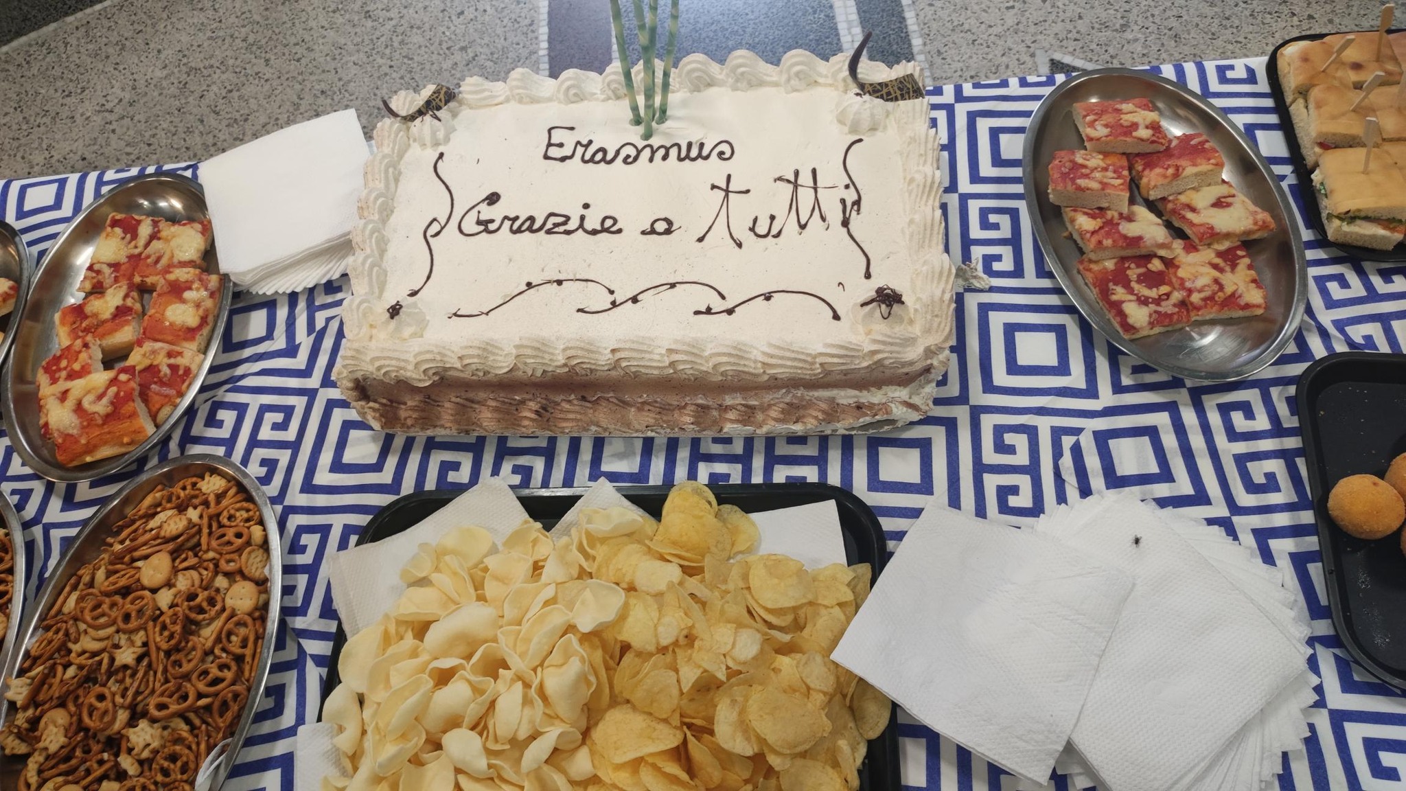 erazmus1 1