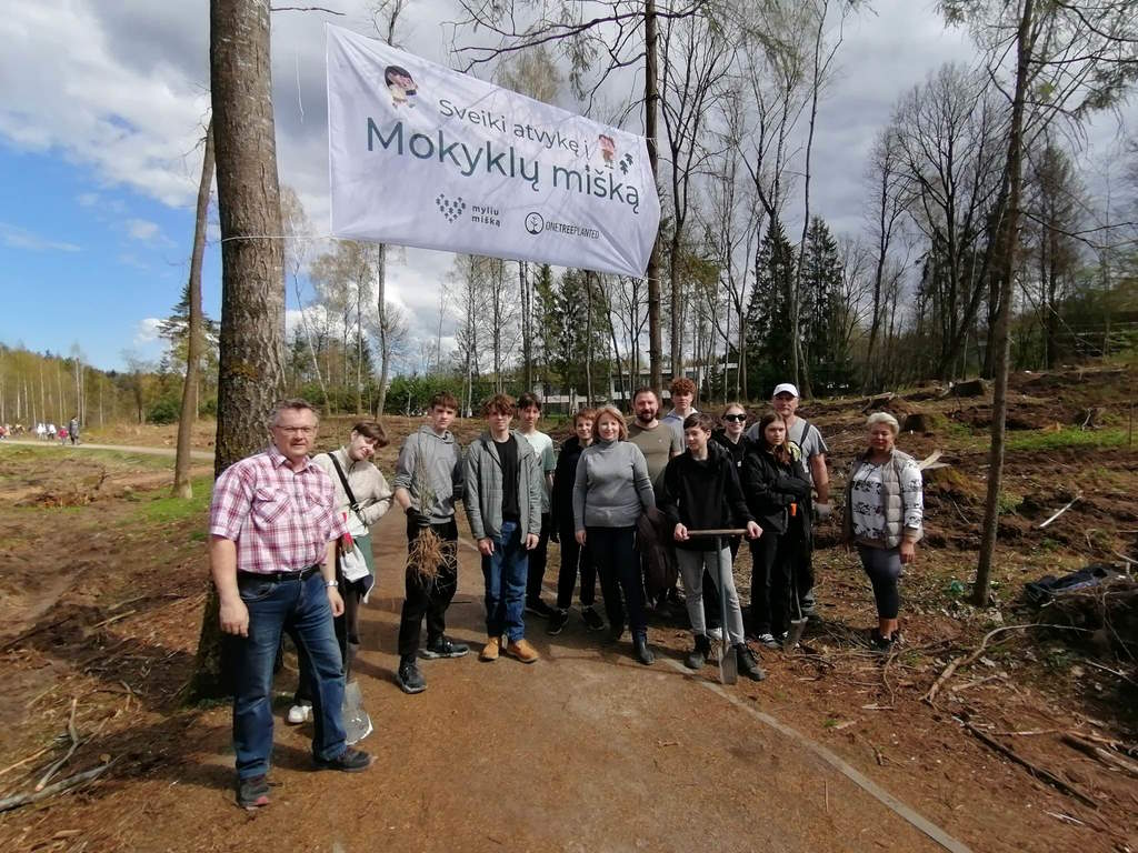 Miškas 19